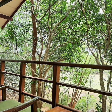 Elephant Lodge Udawalawe Esterno foto