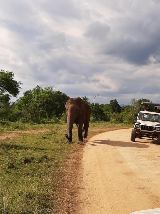 Elephant Lodge Udawalawe Esterno foto